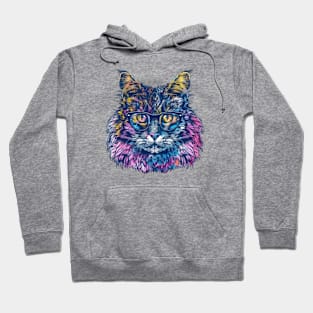 Rainbow Regal: Feline Finesse at breakneck speed Hoodie